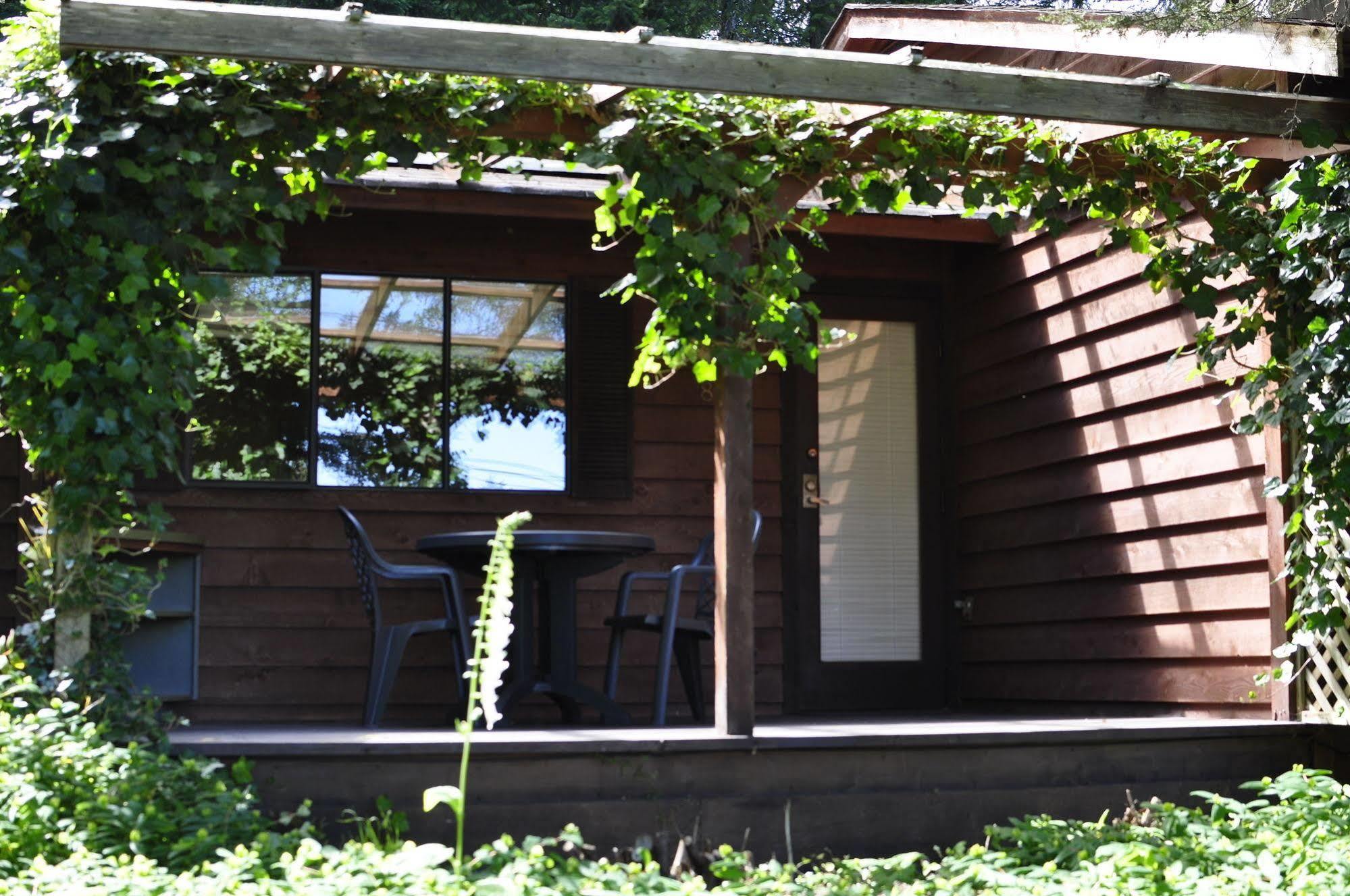 Driftwood Village Cottages Sturdies Bay Buitenkant foto